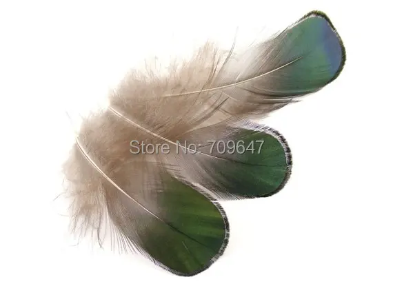 1000 шт./лот! 5-7 см зеленые бронзовые женские перья из Амхерста, натуральные перья для сережек|модных украшений, принадлежности для рукоделия